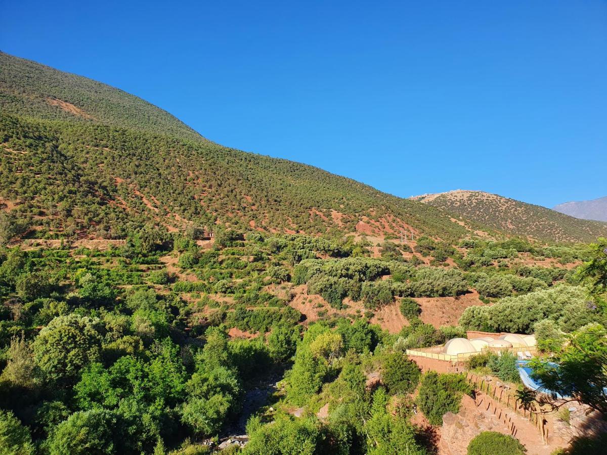 Kasbah Africa Bed and Breakfast Ouirgane Exteriör bild