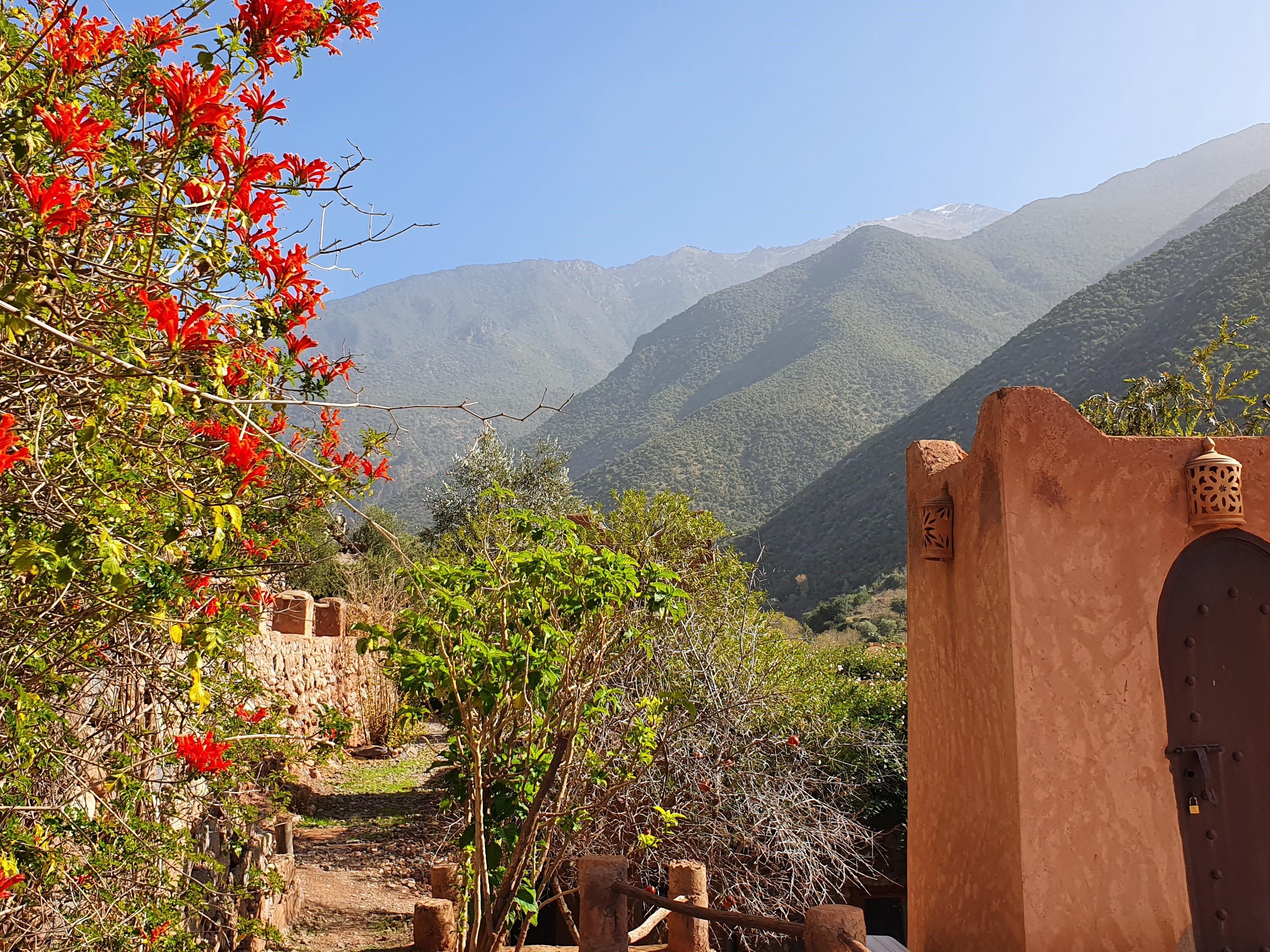 Kasbah Africa Bed and Breakfast Ouirgane Exteriör bild